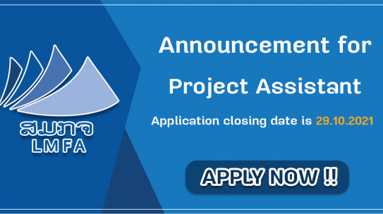 Project Assistant