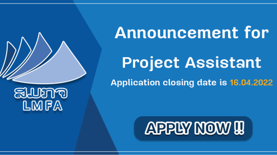 Project  assistant
