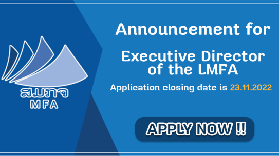 Announcement for Executive Director of the LMFA